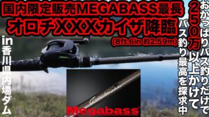 晩秋・初冬にも抜群! 長尺ロッドで沖を狙え! メガバス最長のオロチカイザ IMZと23アンタレスで実釣 オカッパリ普通タックルで遠投出来る 200万以上かけてバス釣り最高を探求 #megabass