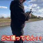 【五三川バス釣り】売れないガールのどこ撮ってるん！？　IN五三川