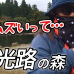 ［惨敗ボツ率NO.1 ］諦めない！発光路の森フィッシングエリア大型ブランド鱒を狙え