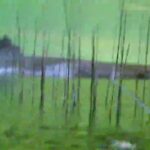 【本湖釣り納め】夜の涸沼シーバス　今年最後の涸沼かな　セイゴで釣り納め！【SIONYX Aurora PRO】