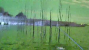 【本湖釣り納め】夜の涸沼シーバス 今年最後の涸沼かな セイゴで釣り納め!【SIONYX Aurora PRO】