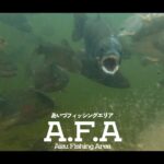 完全予約制の大物管理釣り場は頂鱒の楽園でした 【Trout Area Jerking method】#エリアトラウト #エリアミノーイング #あいづフィッシングエリア