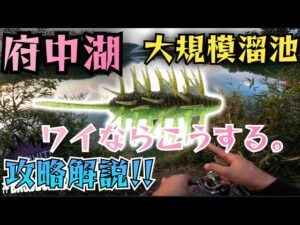 【バス釣り】府中湖and大規模溜池攻略!!コイケシュリンプXL!!