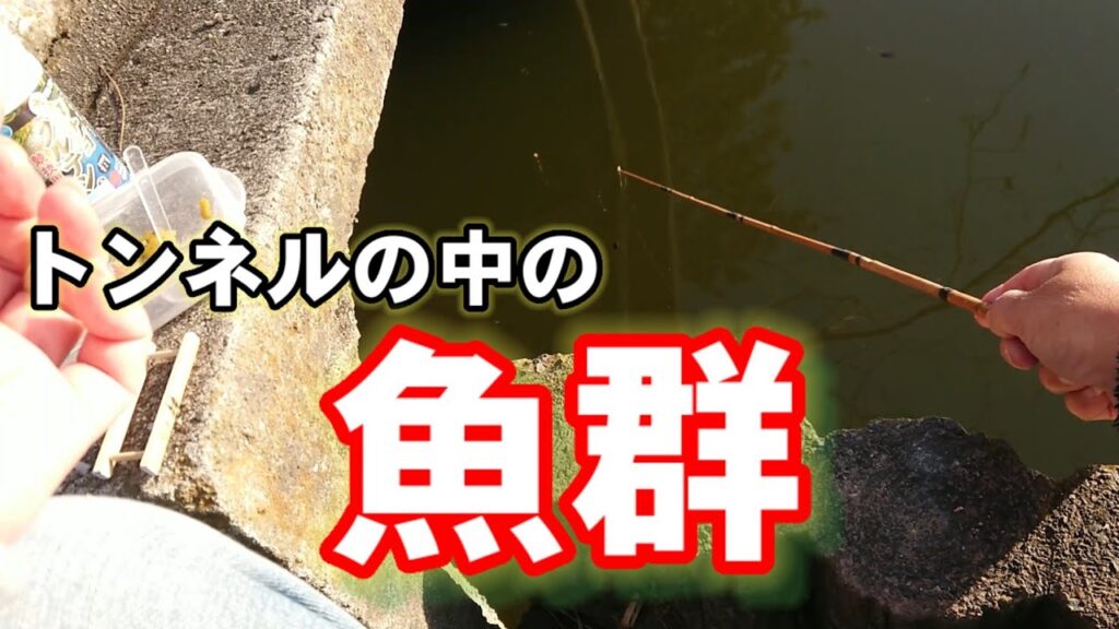 【埼玉県春日部市　薬師沼親水公園】小物釣り【câu cá】microfishing in japan