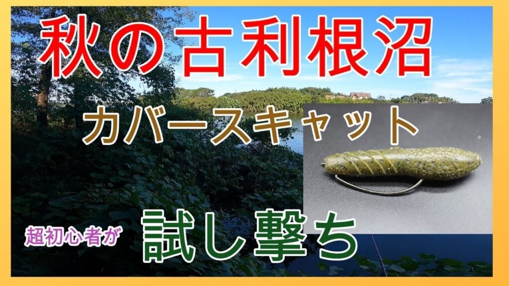 バス釣り！秋の古利根沼でdepsカバースキャットを試してみた【釣りデビュー14日目の初心者】