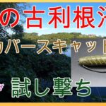 バス釣り！秋の古利根沼でdepsカバースキャットを試してみた【釣りデビュー14日目の初心者】