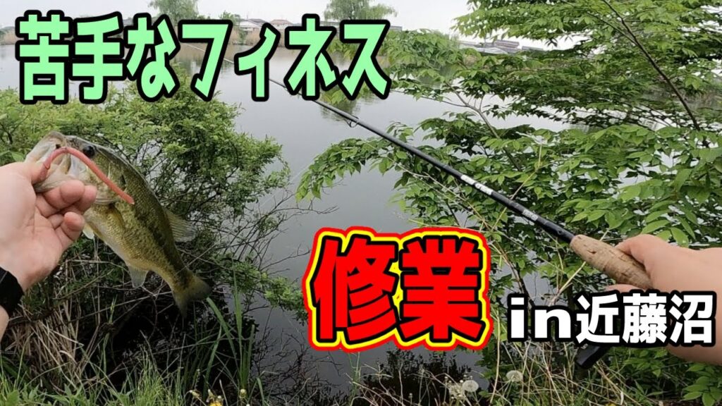 【バス釣り】苦手を克服するためにin近藤沼