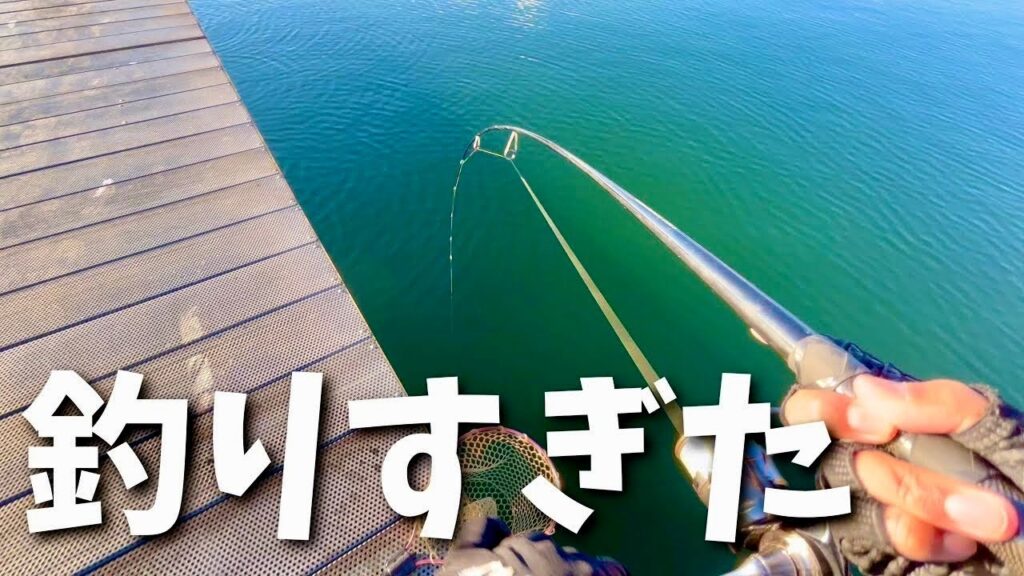 【釣りすぎた】大会のプラで釣りすぎて不審者扱いされる大学生in東山湖フィッシングエリア【縦釣り】