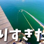 【釣りすぎた】大会のプラで釣りすぎて不審者扱いされる大学生in東山湖フィッシングエリア【縦釣り】