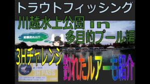 【釣り】エリアトラウト in 川越水上公園(多目的プール編) 釣ったルアーも紹介します! -20241129-