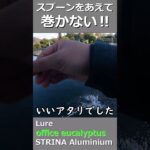 スプーンをあえて巻かない！#shorts #fishing #管理釣り場 #エリアトラウト #trout