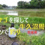 タナゴを探して牛久沼周辺ホソで釣り【茨城県つくば市】☆smallfishing in Saitama  Japan☆