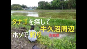 タナゴを探して牛久沼周辺ホソで釣り【茨城県つくば市】☆smallfishing in Saitama  Japan☆