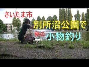 別所沼公園で秋の小物釣り【さいたま市】☆smallfishing in Saitama  Japan☆