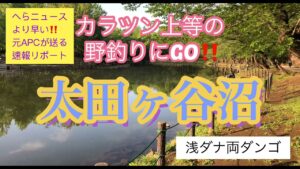 《へらぶな釣り to 太田ヶ谷沼》急遽視聴者さん達とのコラボ。釣り台忘れてるしぃ😅 2021 5/1 埼玉県鶴ヶ島市にある太田ヶ谷沼にて