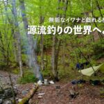 イワナを釣って渓に泊まる。極上の外遊び「源流釣り」の世界へようこそ！