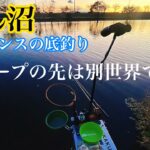 【ヘラブナ釣り】夕方のびん沼！スコープの先は別世界でした