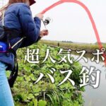 超人気スポットにバス釣り遠征行く女・・・【五三川 大江川】