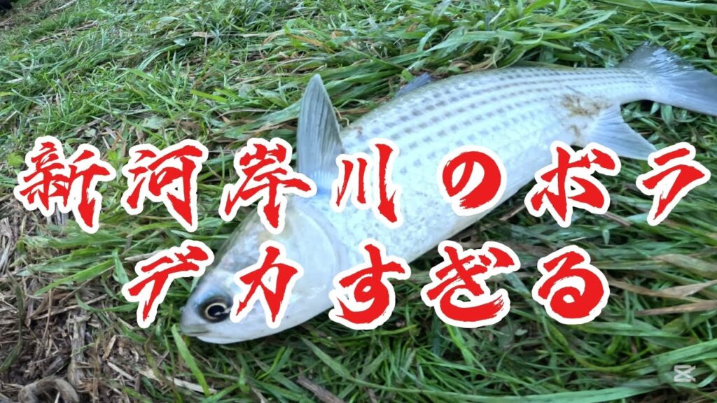 ［新河岸川釣り］新河岸川でマイクロフィシングでこのサカナイパイ釣れます