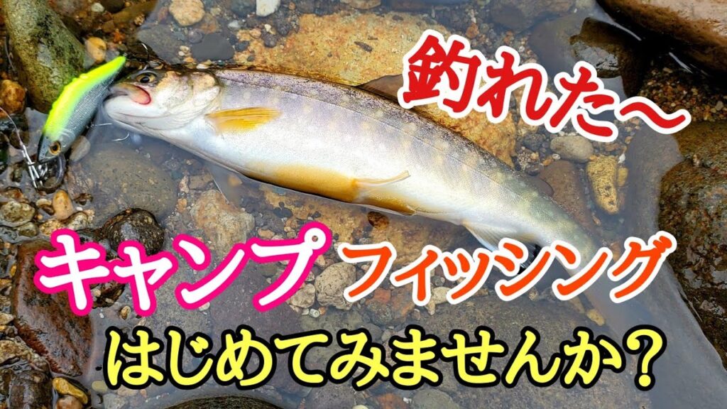 キャンプで渓流釣りはじめませんか？ルアー初心者でも釣れました！
