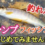 キャンプで渓流釣りはじめませんか？ルアー初心者でも釣れました！