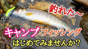 キャンプで渓流釣りはじめませんか?ルアー初心者でも釣れました!
