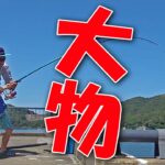 ダイキの夏休み【手ぶらで行ける海釣り編】