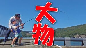 ダイキの夏休み【手ぶらで行ける海釣り編】