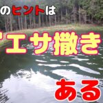 管釣りのヒントは『エサ撒き』にある？？【管理釣り場】【エリアトラウト】
