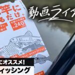 釣り初心者にオススメ！ 延べ竿フィッシング【動画ライター】