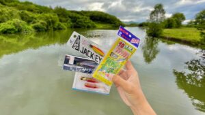 海釣り用ルアーでバス釣りしたら釣れすぎた」