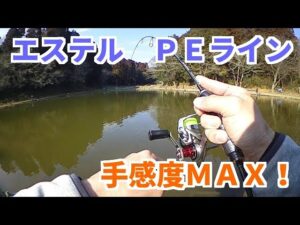 エステル、ＰＥラインで手感度ＭＡＸ！千葉県の管理釣り場ジョイバレーでエリアトラウト