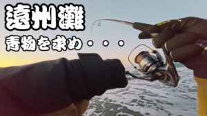 【遠州灘サーフ】青物が釣りたくて気合入れ前日前乗りして深夜からエントリーしてみました