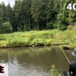 『釣り堀』始めます・///【管理釣り場】【エリアトラウト】