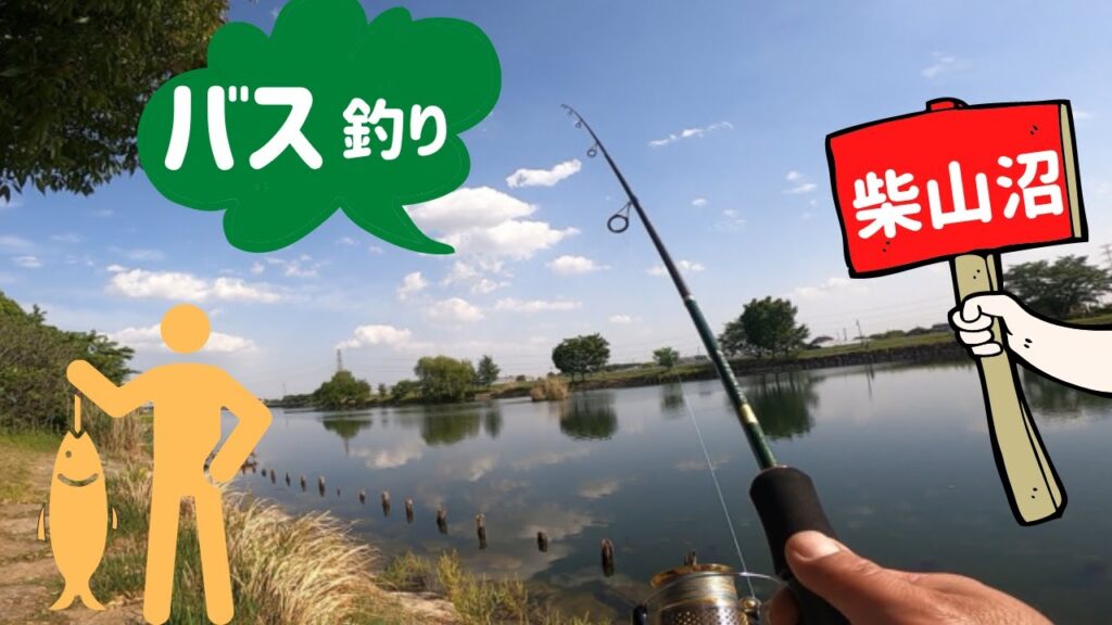 【おかっぱり】埼玉県 メジャーフィールド 柴山沼でバス釣り