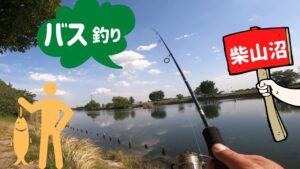 【おかっぱり】埼玉県 メジャーフィールド 柴山沼でバス釣り