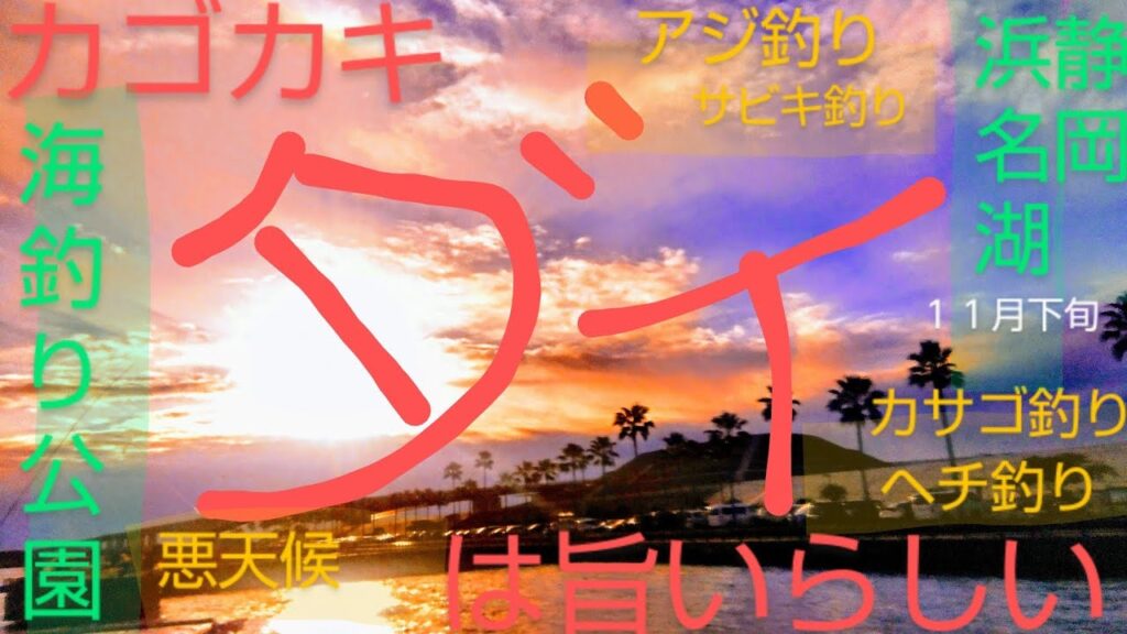 カゴカキダイは旨いらしい　静岡県浜名湖海釣り公園　１１月下旬連休　サビキ釣りアジ釣り　ヘチ釣りカサゴ釣り