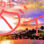 カゴカキダイは旨いらしい　静岡県浜名湖海釣り公園　１１月下旬連休　サビキ釣りアジ釣り　ヘチ釣りカサゴ釣り