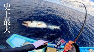 五目釣りのはずが巨大魚釣れてしまったので漁協に売ったら驚きの金額に！