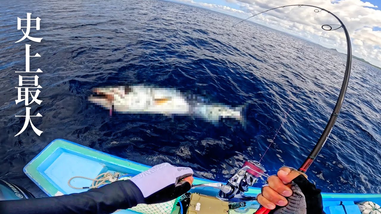 五目釣りのはずが巨大魚釣れてしまったので漁協に売ったら驚きの金額に!