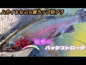 ムカイ＆なぶら屋カップ前日プラティクス！【エリアトラウト】