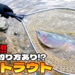 【衝撃のラスト!!】管理釣り場で皆がやらないまさかの釣り方!!!!!~後編~