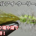 【フライタイイング】ダンベルアイ･ウーリーバガーを巻いてみた！管理釣り場や湖で実績抜群！