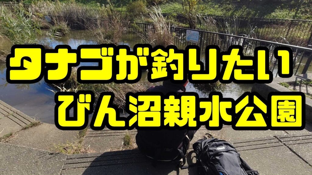 【小物釣り】タナゴ狙いでびん沼親水公園へ、そして針外しの便利さを知る