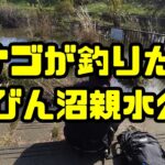 【小物釣り】タナゴ狙いでびん沼親水公園へ、そして針外しの便利さを知る
