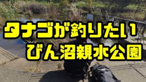 【小物釣り】タナゴ狙いでびん沼親水公園へ、そして針外しの便利さを知る