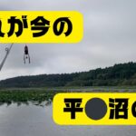 【宮城県釣り】これが今の平⚪︎沼の現状だ！！【バス釣り】