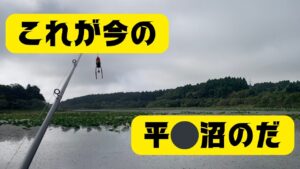 【宮城県釣り】これが今の平⚪︎沼の現状だ！！【バス釣り】