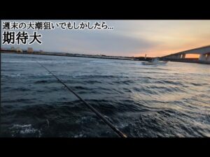 浜名湖最速本日金曜日青物釣りポイント状況📢【浜名湖釣り】🎣