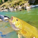 森の奥にレベチな川あった